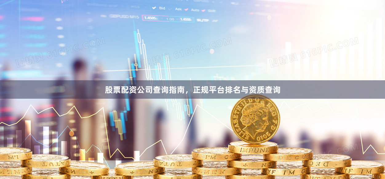 股票配资公司查询指南，正规平台排名与资质查询